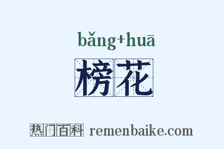 榜花是什么意思的图片